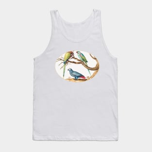 African Gray Parrot, Indian Ring-Necked Parrot, and a Third Parrot (1575–1580) Tank Top